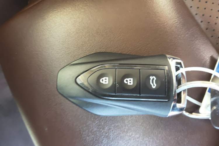 Used Leopaard Mattu 2018 1.6T GDI DCT Prestige Model Interior 1