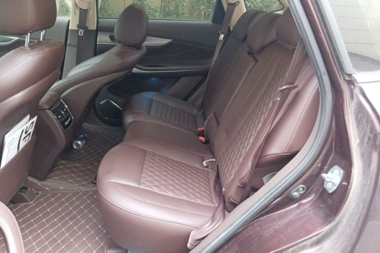 Used Leopaard Mattu 2018 1.6T GDI DCT Flagship Model Left Rear Seat