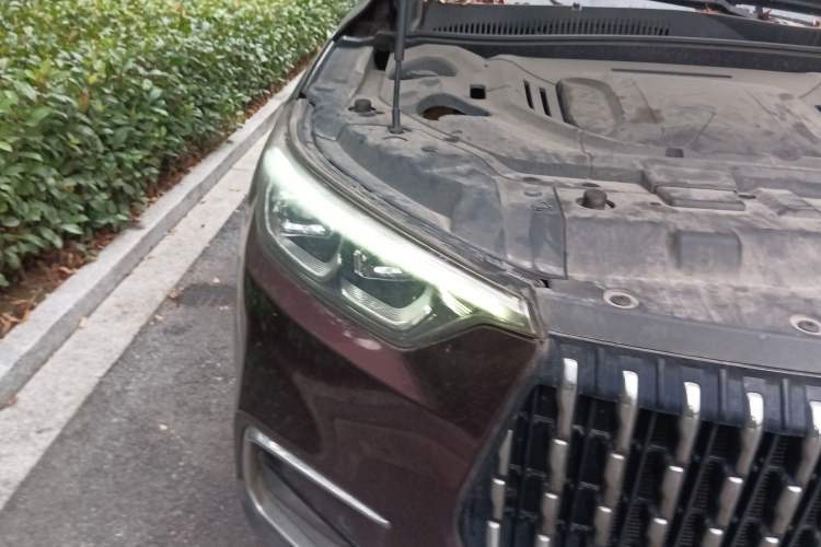 Used Leopaard Mattu 2018 1.6T GDI DCT Flagship Model Right Front Headlight