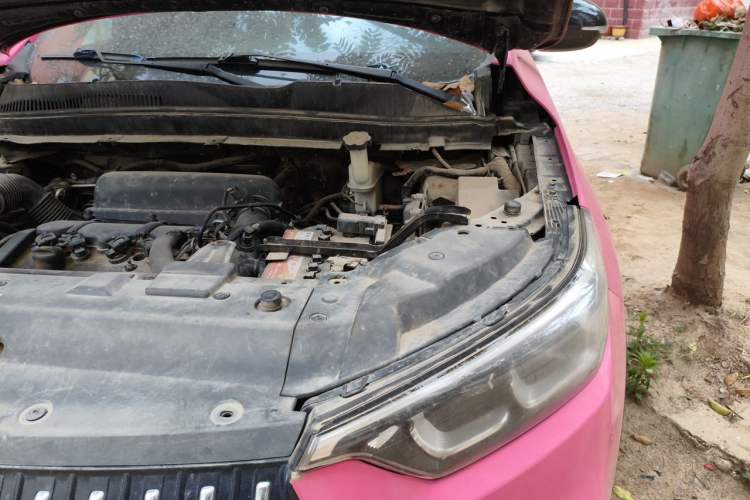 Used Leopaard Mattu 2018 1.6T GDI Manual Elite Model Engine Bay Left