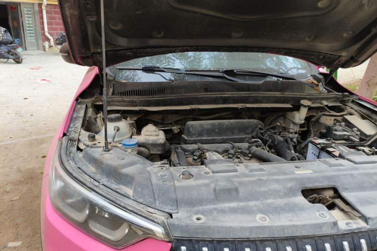 Used Leopaard Mattu 2018 1.6T GDI Manual Elite Model Engine Bay Right