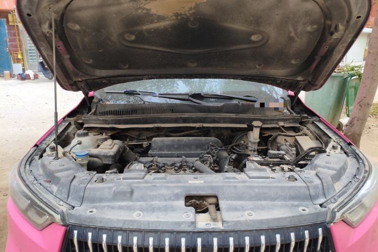 Used Leopaard Mattu 2018 1.6T GDI Manual Elite Model Engine Bay