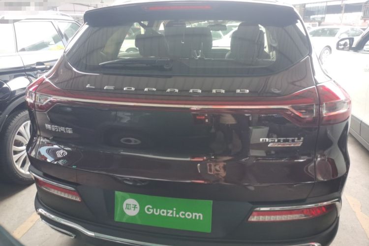 Used Leopaard Mattu 2018 1.6T GDI Manual Elite Model Rear