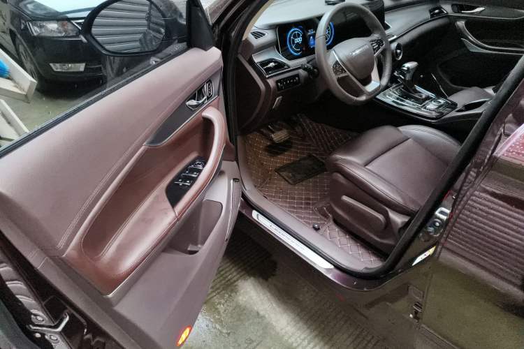 Used Leopaard Mattu 2018 1.6T GDI DCT Elite Model Driver Seat