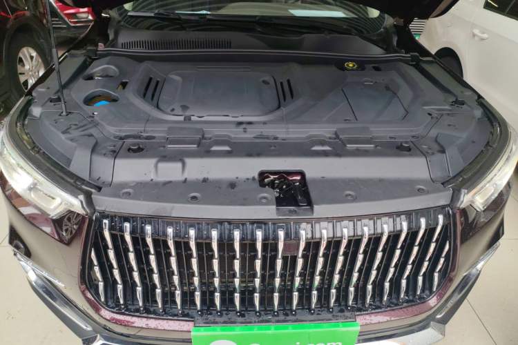 Used Leopaard Mattu 2018 1.6T GDI DCT Elite Model Engine Bay