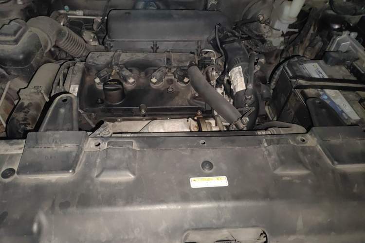 Used Leopaard Mattu 2018 1.6T GDI DCT Luxury Model Engine Bay