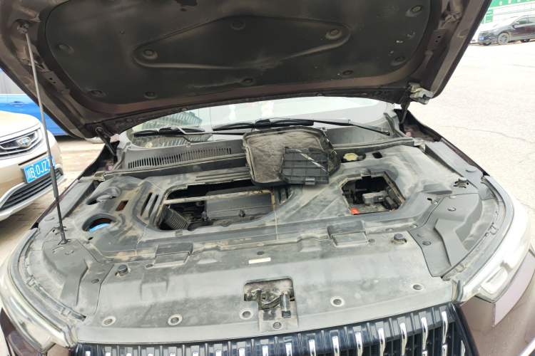 Used Leopaard Mattu 2018 1.6T GDI DCT Elite Model Engine Bay