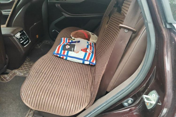 Used Leopaard Mattu 2018 1.6T GDI Manual Elite Model