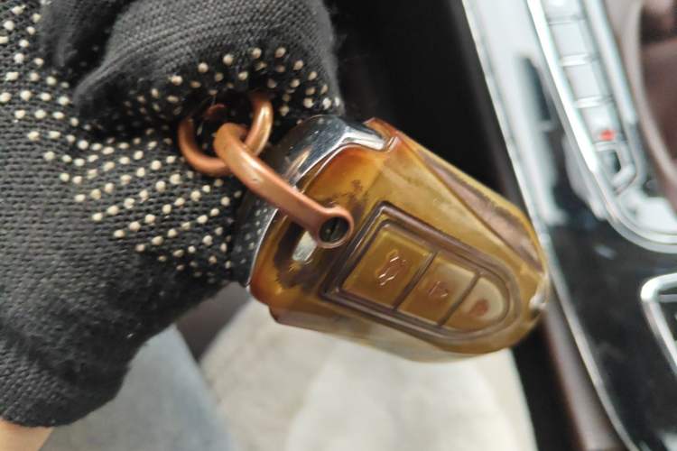 Used Leopaard Mattu 2018 1.6T GDI Manual Elite Model