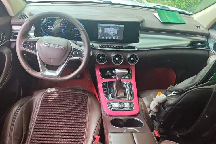Used Leopaard Mattu 2018 1.6T GDI DCT Elite Model Center Console