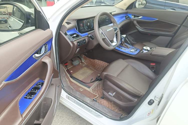 Used Leopaard Mattu 2018 1.6T GDI DCT Prestige Model Driver Seat