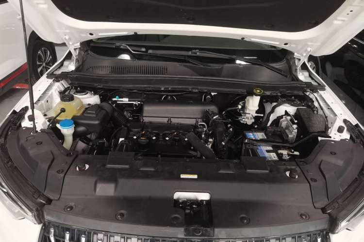 Used Leopaard Mattu 2018 1.6T GDI DCT Luxury Model Engine Bay