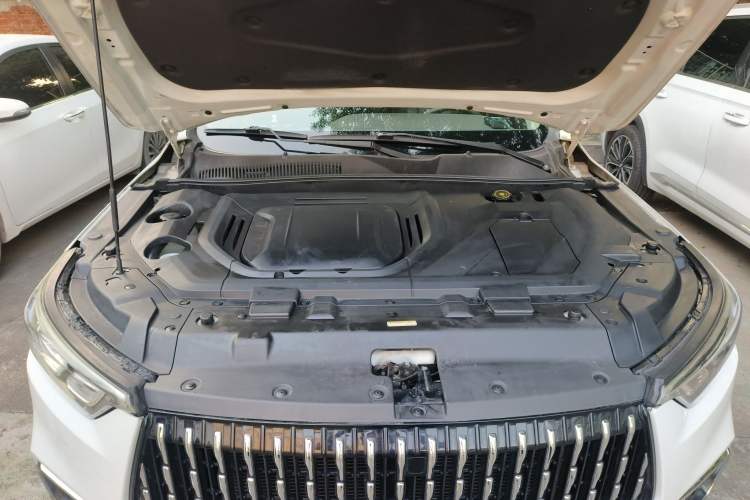 Used Leopaard Mattu 2018 1.6T GDI DCT Prestige Model Engine Bay