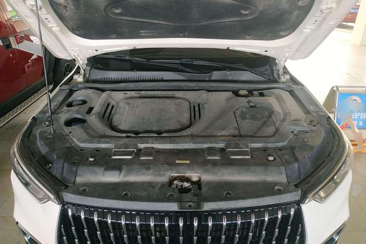 Used Leopaard Mattu 2018 1.6T GDI Manual Elite Model Engine Bay