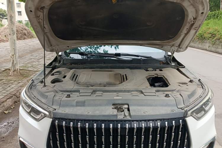 Used Leopaard Mattu 2018 1.6T GDI DCT Luxury Model Engine Bay