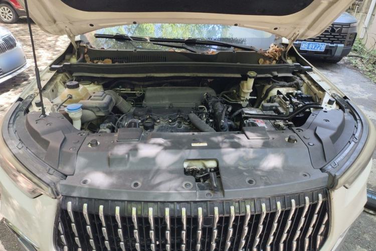 Used Leopaard Mattu 2018 1.6T GDI DCT Elite Model Engine Bay