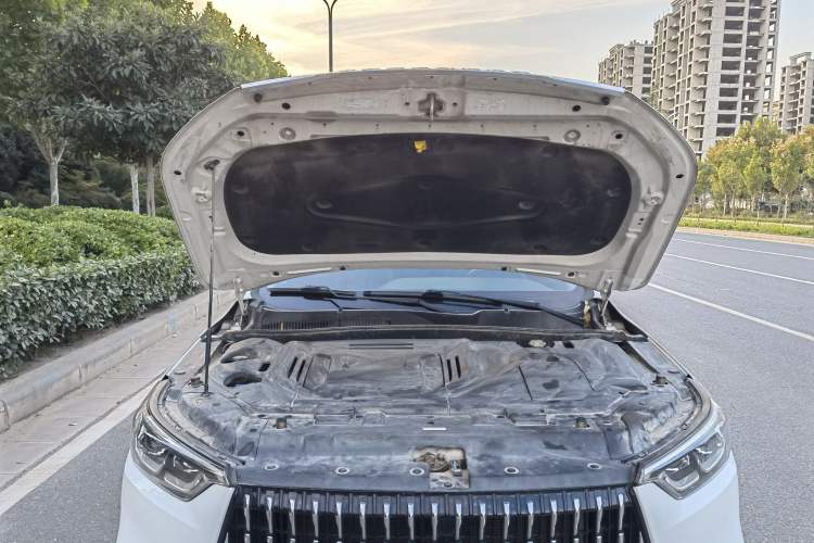 Used Leopaard Mattu 2018 1.6T GDI DCT Elite Model Engine Bay