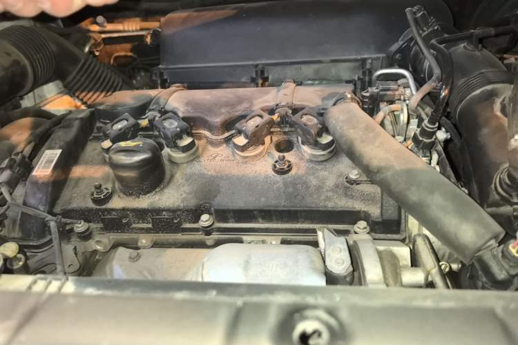 Used Leopaard Mattu 2018 1.6T GDI DCT Prestige Model Engine Bay