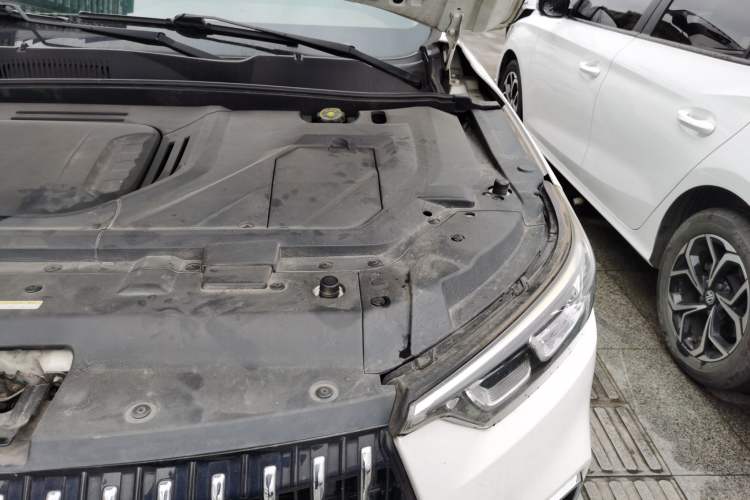 Used Leopaard Mattu 2018 1.6T GDI DCT Elite Model Engine Bay Left