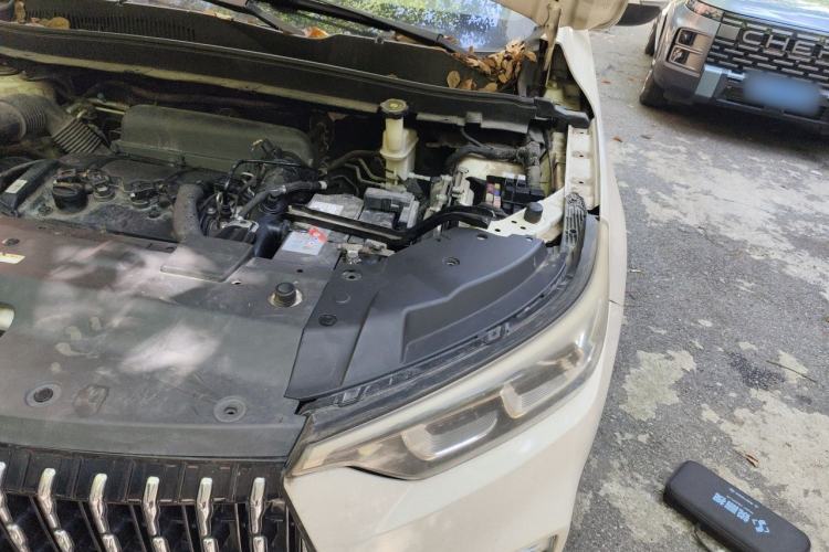 Used Leopaard Mattu 2018 1.6T GDI DCT Elite Model Engine Bay Left