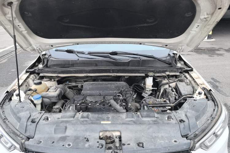 Used Leopaard Mattu 2018 1.6T GDI DCT Prestige Model Engine Bay