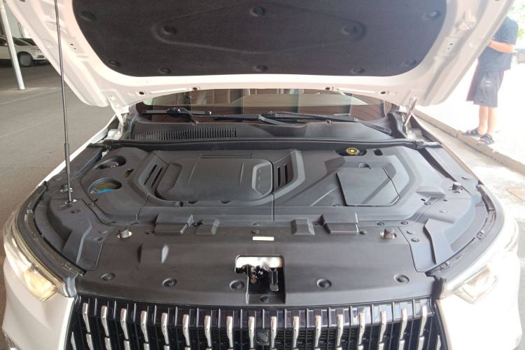 Used Leopaard Mattu 2018 1.6T GDI DCT Elite Model Engine Bay