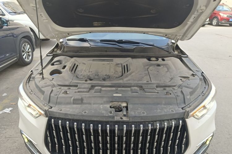 Used Leopaard Mattu 2018 1.6T GDI DCT Prestige Model Engine Bay