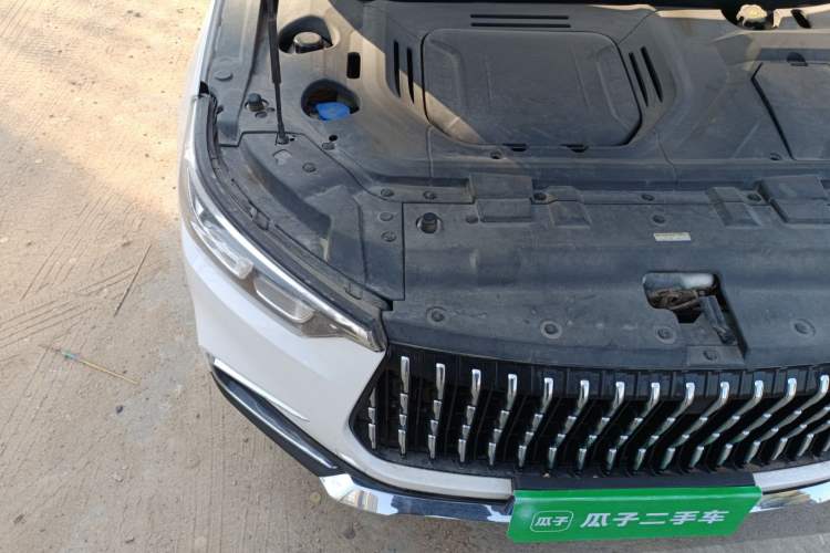 Used Leopaard Mattu 2018 1.6T GDI DCT Elite Model Engine Bay Right