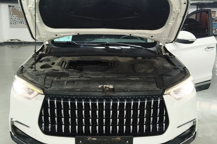 Used Leopaard Mattu 2018 1.6T GDI DCT Elite Model Engine Bay