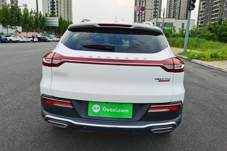 Used Leopaard Mattu 2018 1.6T GDI DCT Prestige Model Exterior 4