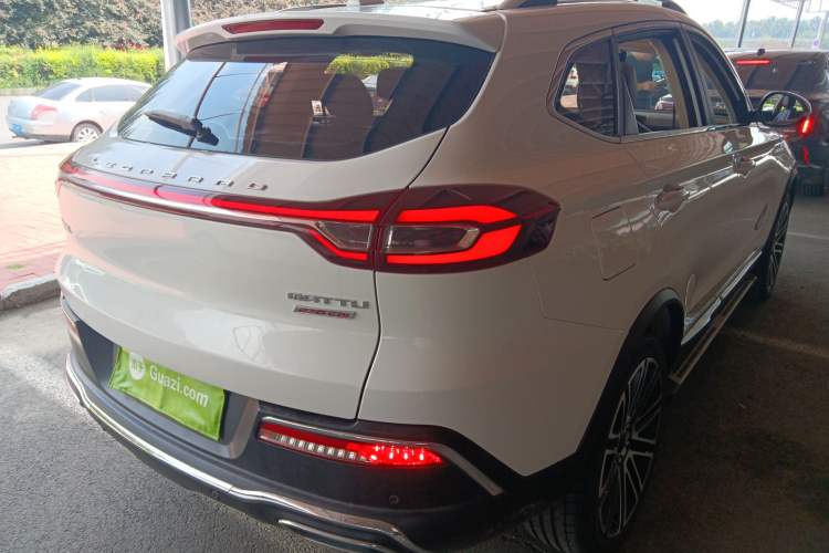 Used Leopaard Mattu 2018 1.6T GDI DCT Elite Model Exterior 5