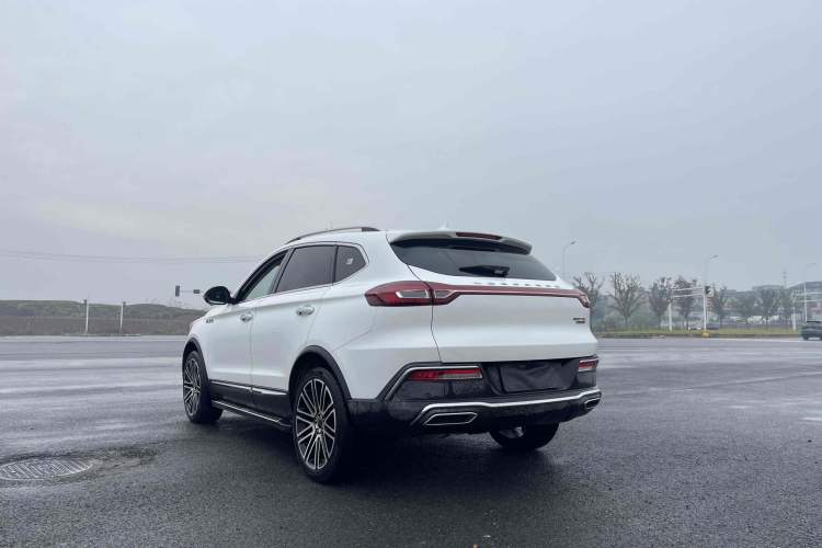 Used Leopaard Mattu 2018 1.6T GDI DCT Flagship Model Exterior 5