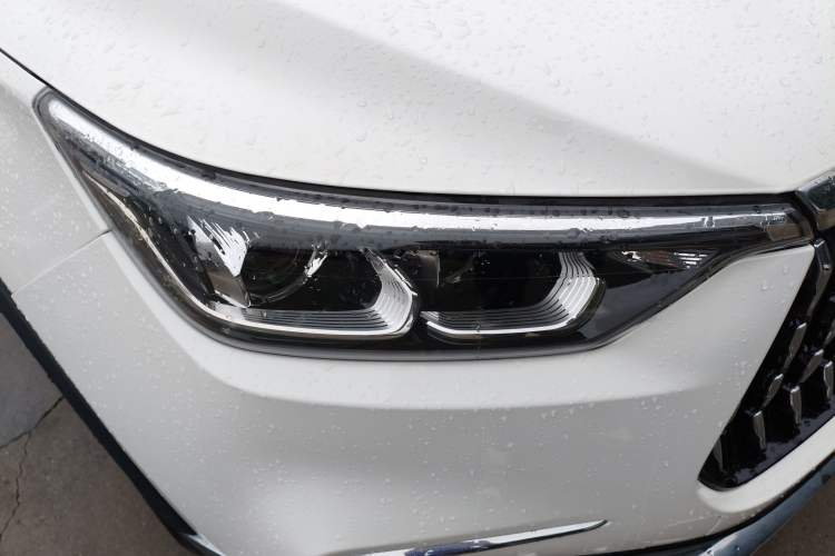 Used Leopaard Mattu 2018 1.6T GDI Manual Elite Model Exterior 6