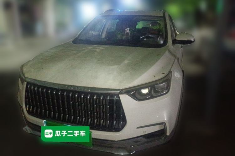 Used Leopaard Mattu 2018 1.6T GDI Manual Elite Model Front