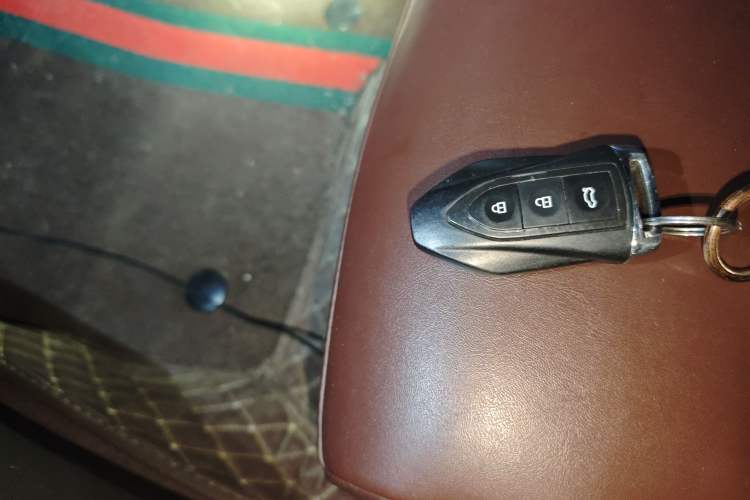 Used Leopaard Mattu 2018 1.6T GDI DCT Luxury Model Interior 1