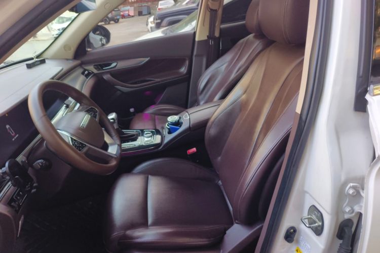 Used Leopaard Mattu 2018 1.6T GDI DCT Prestige Model Left Front Seat