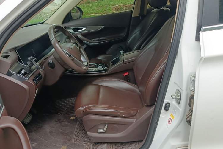 Used Leopaard Mattu 2018 1.6T GDI DCT Luxury Model Left Front Seat