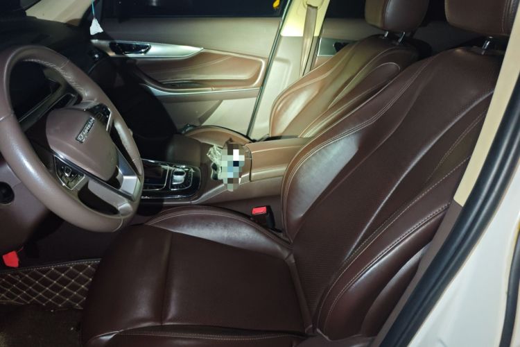 Used Leopaard Mattu 2018 1.6T GDI DCT Luxury Model Left Front Seat