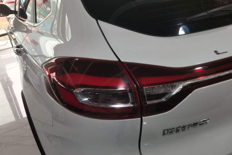 Used Leopaard Mattu 2018 1.6T GDI DCT Luxury Model Left Rear Taillight