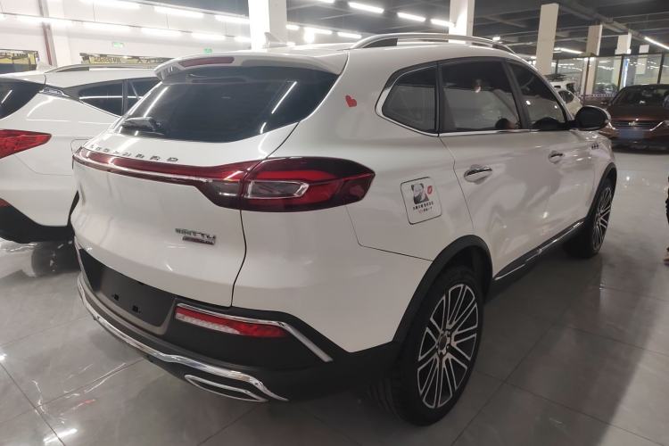 Used Leopaard Mattu 2018 1.6T GDI DCT Elite Model Rear Right 45 Deg