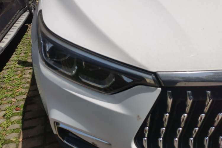 Used Leopaard Mattu 2018 1.6T GDI DCT Elite Model Right Front Headlight