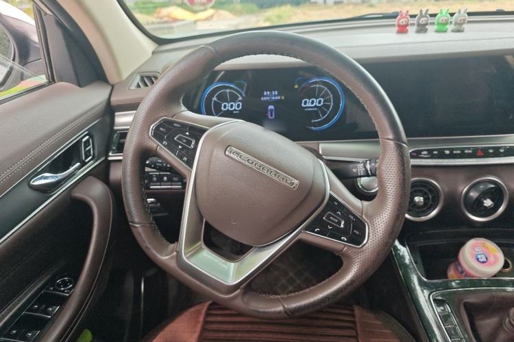 Used Leopaard Mattu 2018 1.6T GDI Manual Elite Model Steering Wheel