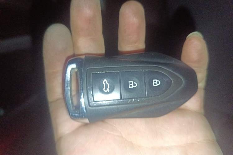Used Leopaard Mattu 2018 1.6T GDI Manual Elite Model Vehicle Key