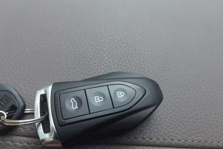 Used Leopaard Mattu 2018 1.6T GDI DCT Elite Model Vehicle Key