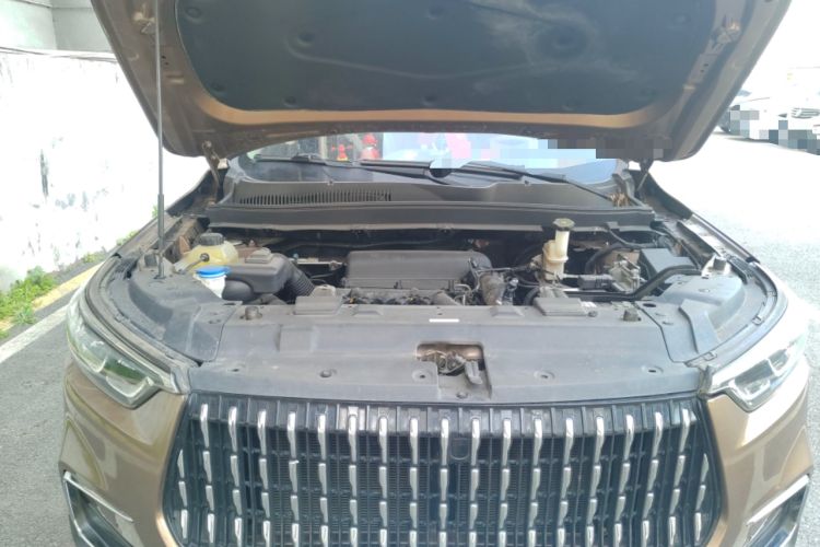 Used Leopaard Mattu 2018 1.6T GDI DCT Elite Model Engine Bay