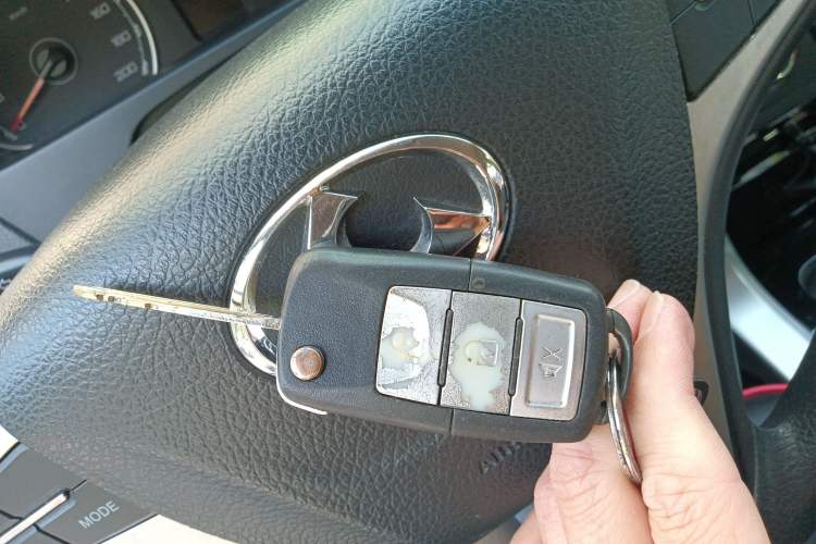 Used Leopaard Q6 2015 2.4L Manual Two-Wheel-Drive Elite Model Vehicle Key
