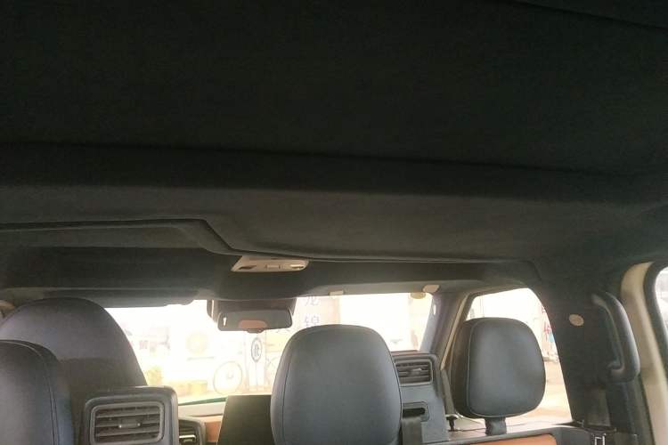Used LEVC LX 2021 Model, Range-Extended Basic Model Headliner