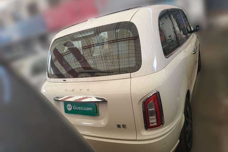 Used LEVC LX 2021 Model, Range-Extended Basic Model Rear
