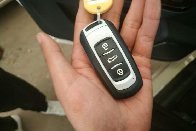 Used LEVC LX 2021 Model, Range-Extended Basic Model Vehicle Key