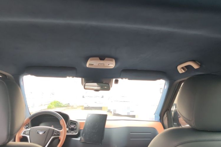 Used LEVC TX 2022 TX5 All-Electric Urban Living Room Edition Headliner